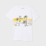 Camiseta m/c "live aloha"