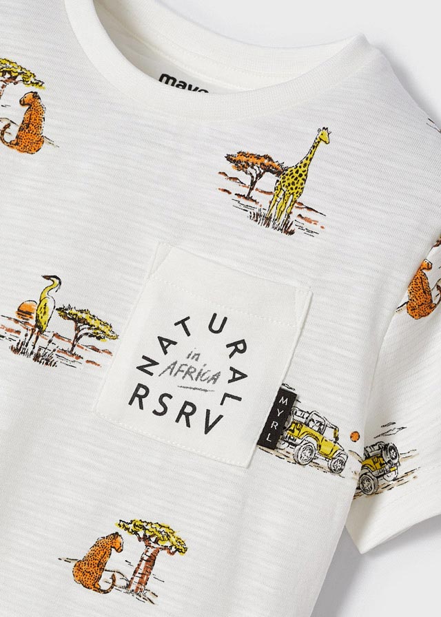 Camiseta m/c estampada