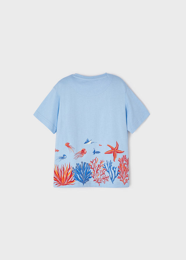 Camiseta m/c fondo marino