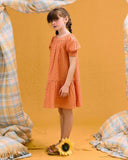 DRESS EMBROIDERY