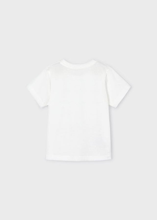 Camiseta m/c "rolling"