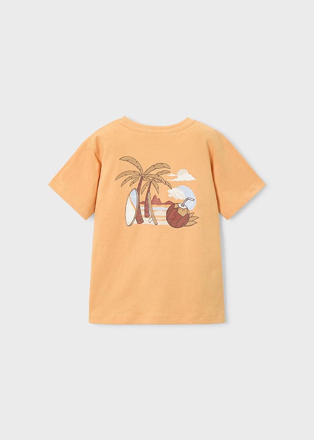 Conj. Set 2 camisetas y Bañador Bermuda Estampado
