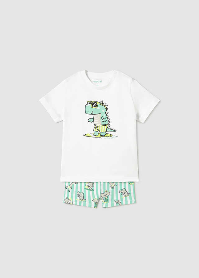 Conj. bañador camiseta