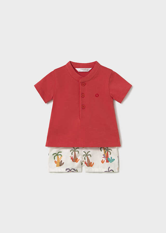 Conj. pantalon corto y polo