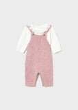Conj. peto y jersey tricot