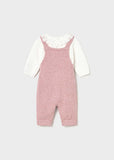 Conj. peto y jersey tricot