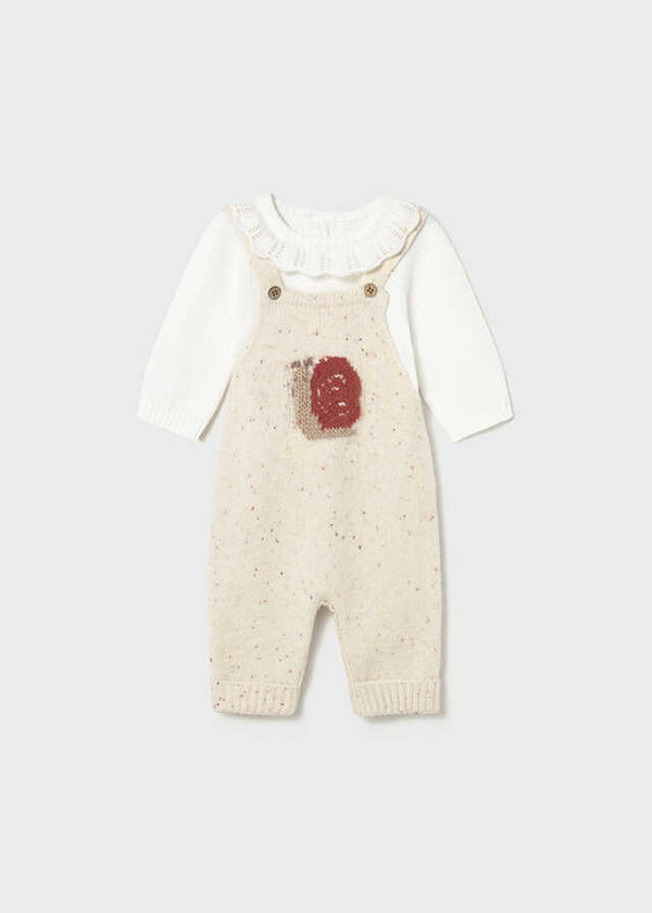 Conj. peto y jersey tricot