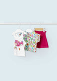 Conj. short 2 camisetas