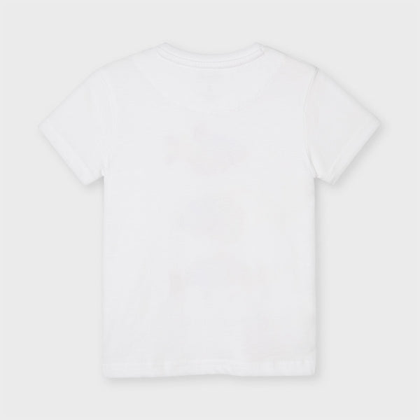 Camiseta m/c peces