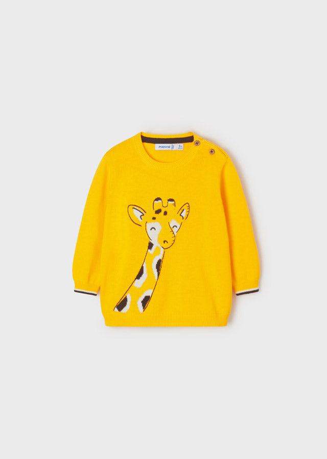 Jersey intarsia bordado