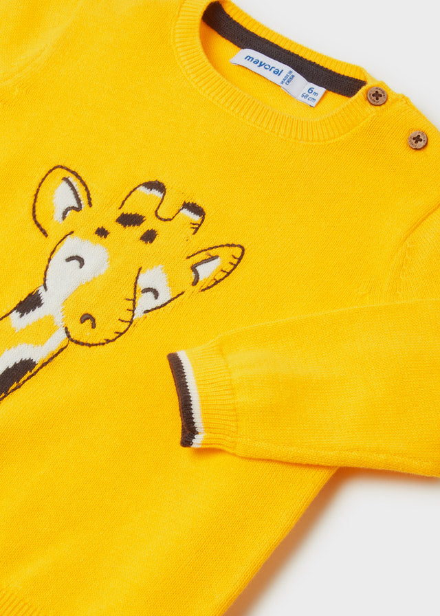 Jersey intarsia bordado