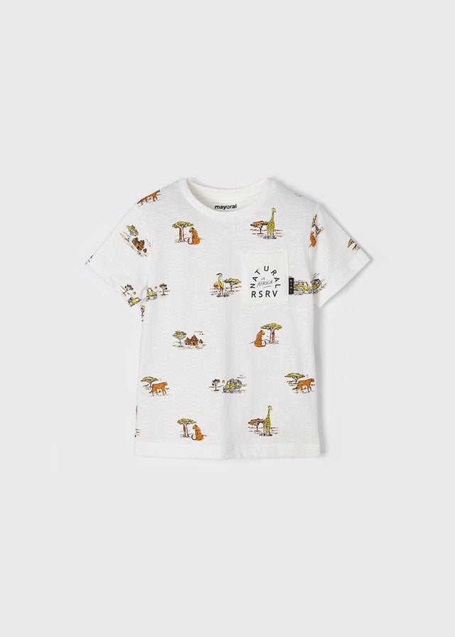Camiseta m/c estampada