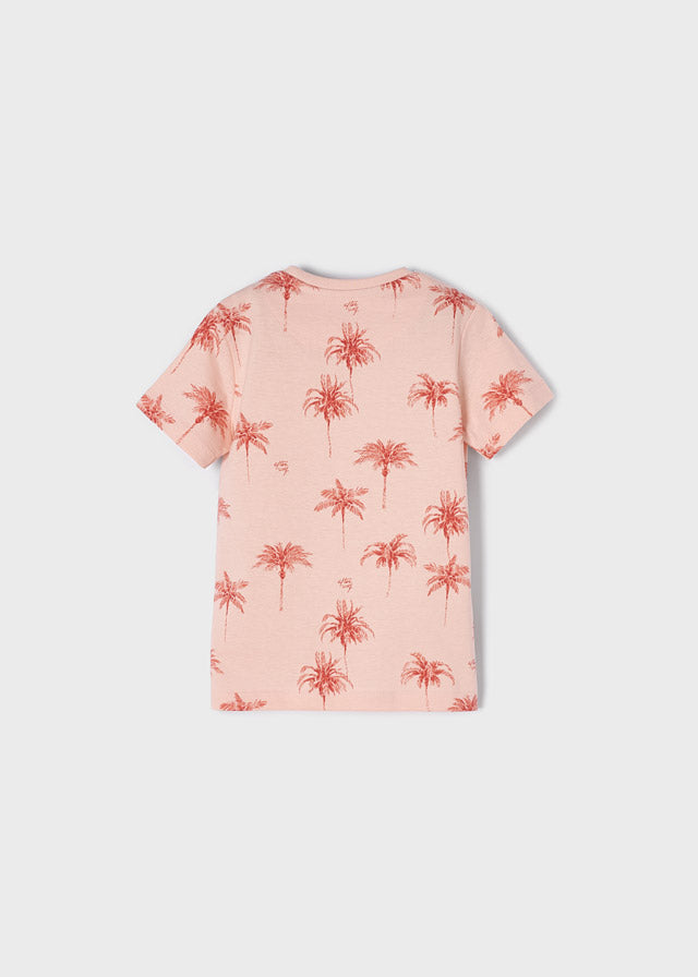 Set 2 camisetas m/c afterwave