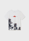 Camiseta m/c print palmeras